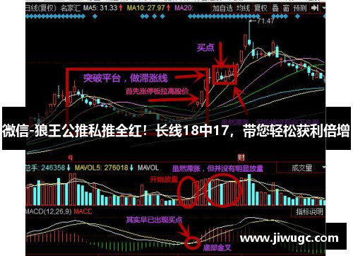 微信-狼王公推私推全红！长线18中17，带您轻松获利倍增